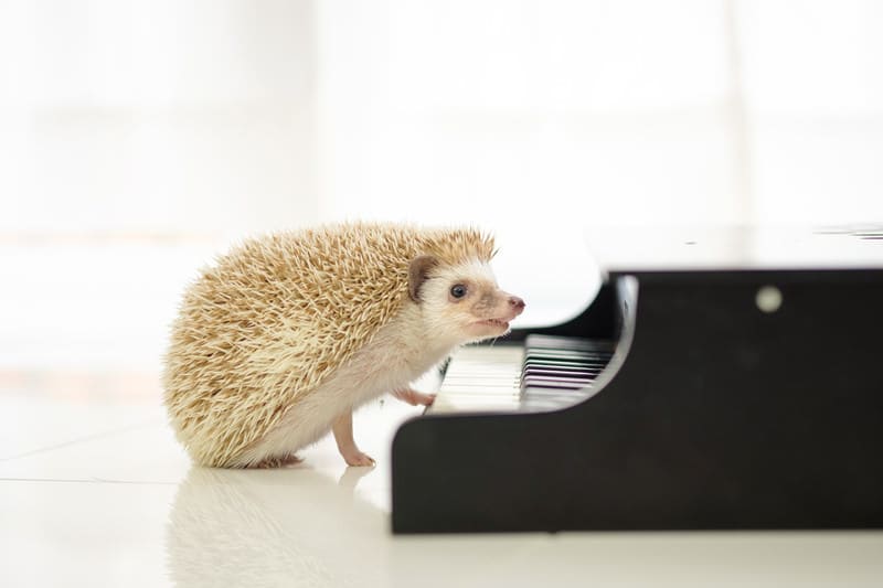 KAZUHIRO171013187_TP_V4