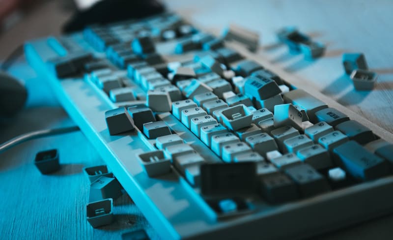 dandakeyIMGL4738_TP_V4