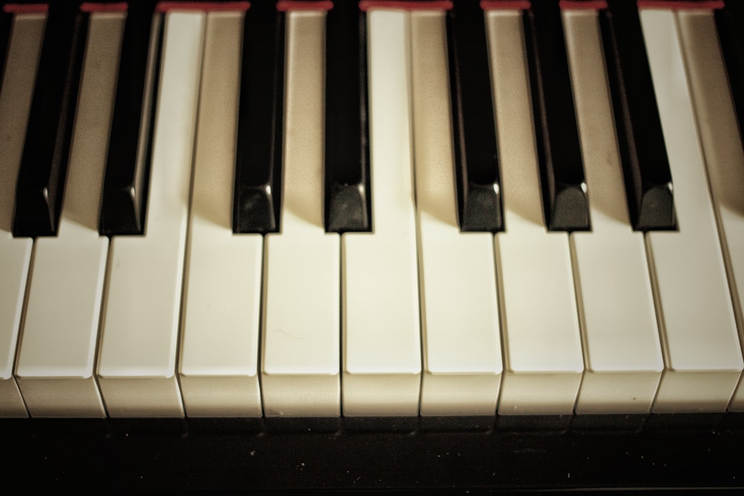 a close up of a piano keyboard with black and white keys